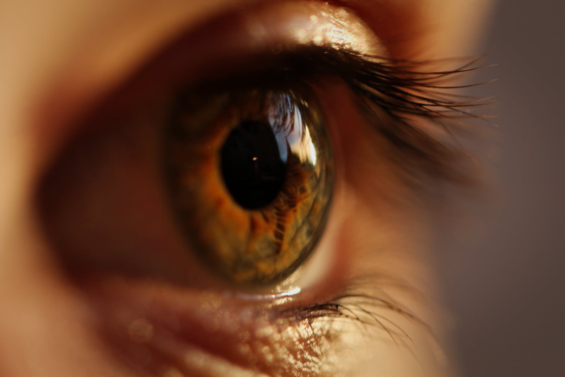rezultatele testelor oculare Aparate de electroforeză oftalmică
