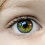 Vederea cromatică – Cum funcționează aceasta și de ce este atât de importantă în viața ta?