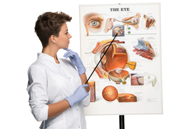  injectii in ochi - femeie, medic, plansa cu structura anatomica a ochiului, manusi de examinare, halat, fundal alb