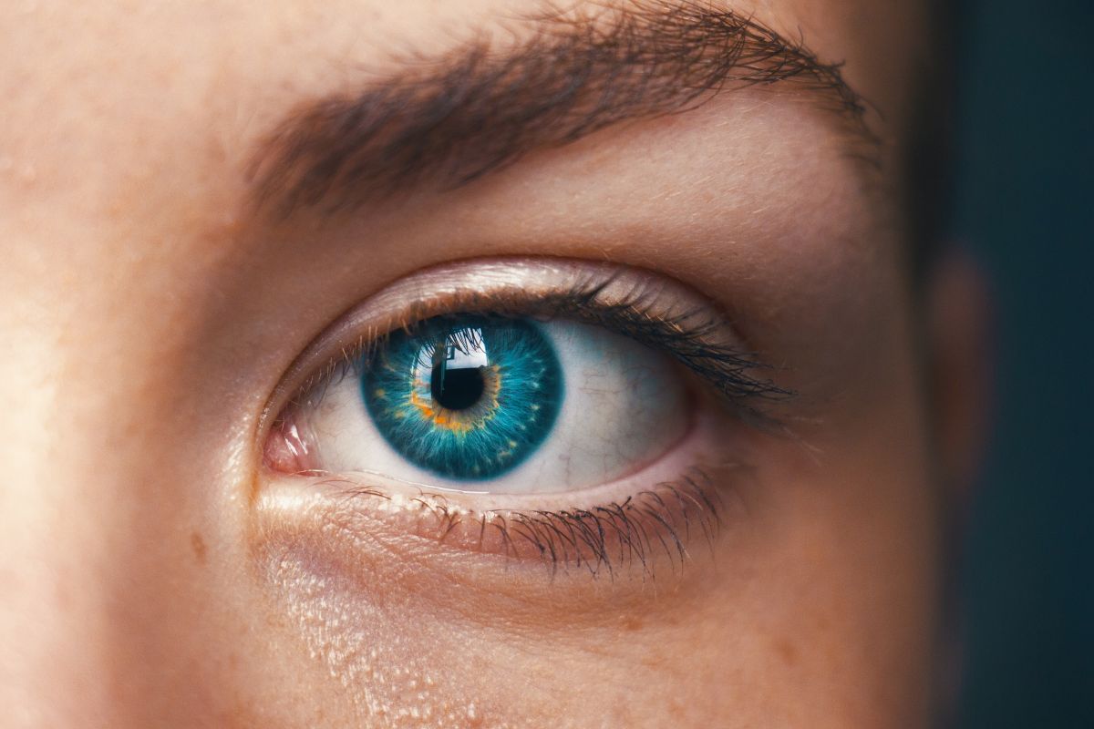 Heterocromie: O privire asupra fascinantei diferențe de culoare a ochilor