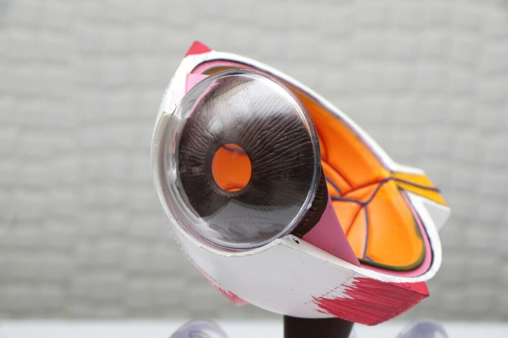 Boala Stargardt. Maladia Stargardt - simptome specifice, metode de diagnosticare